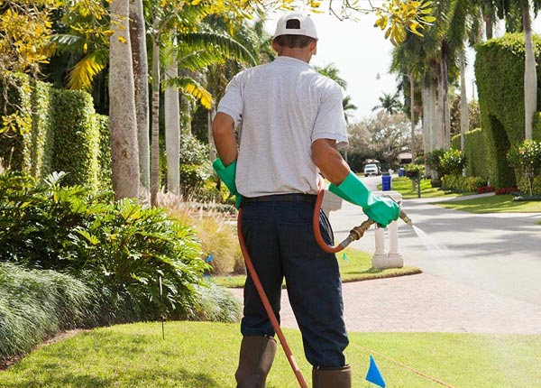 About Nekoosa WI Pest Control